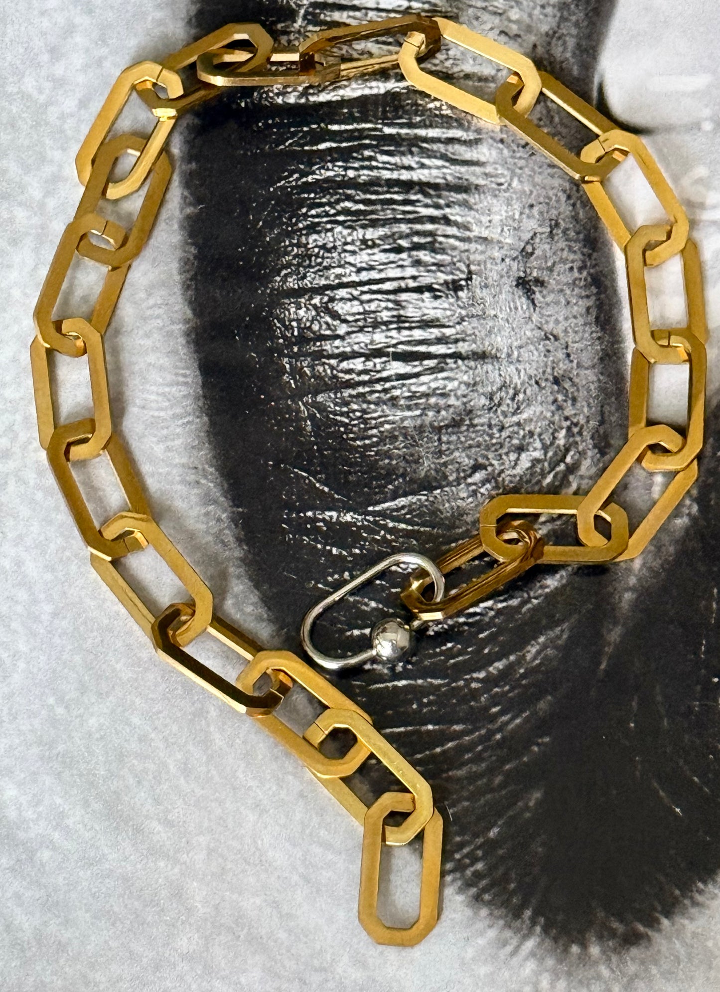 GOLDEN LINK EDIT NECKLACE